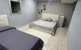 Sofia Home